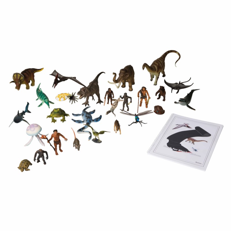 animals-and-book-for-the-black-ribbon-nienhuis-montessori