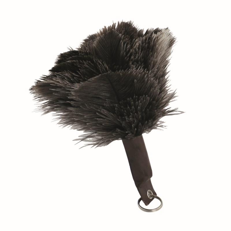 feather-duster-nienhuis-montessori