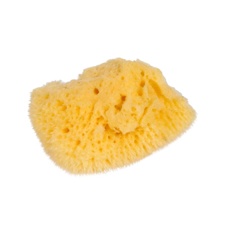 natural-sponge-small-nienhuis-montessori